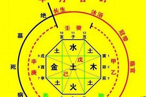 五行命格|生辰八字算命、五行喜用神查詢（免費測算）